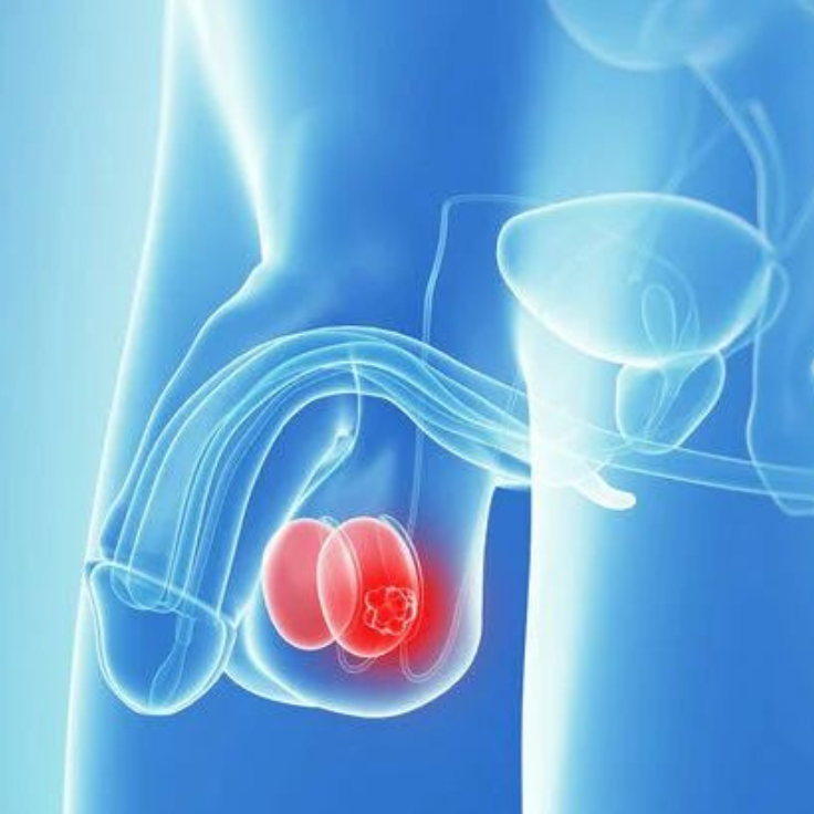 Untitled design (4) Untitled design (4)